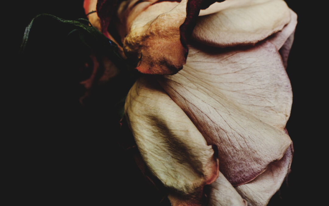 Documentaire eenzame uitvaarten